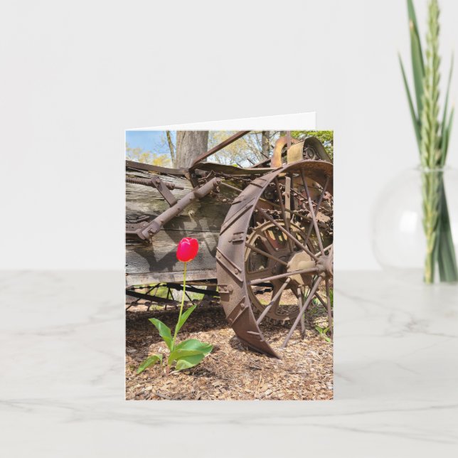 Red Tulip och Old Wagon Tack Kort (Framsida)