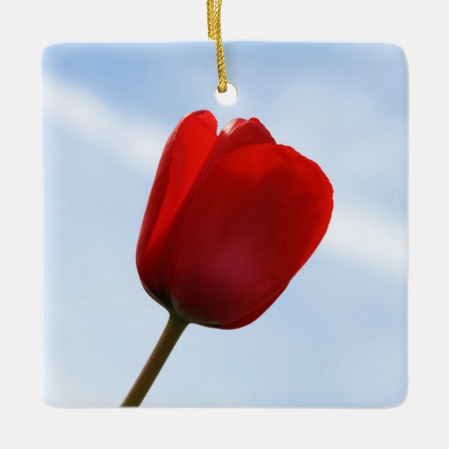Red Tulip Ornament (Framsida)