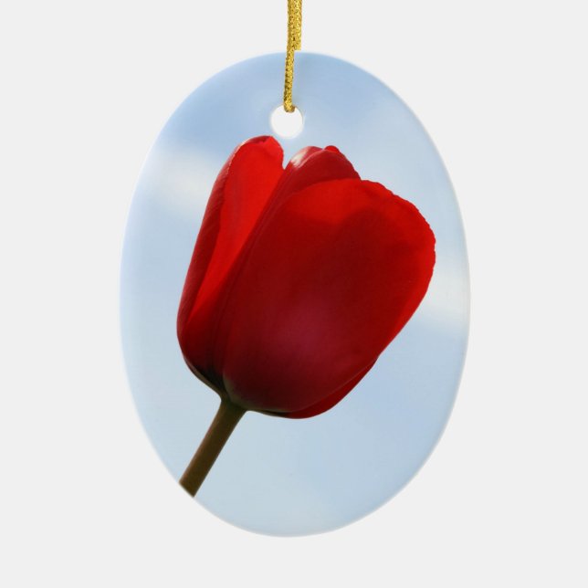Red Tulip Ornament (Framsidan)