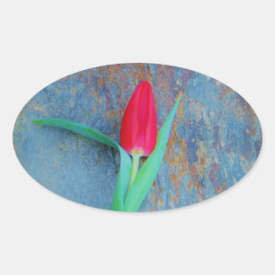 Red Tulip på Blue Grått Slate Ovalt Klistermärke