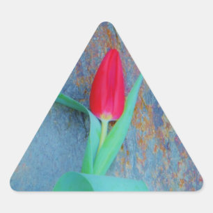 Red Tulip på Blue Grått Slate Triangelformat Klistermärke