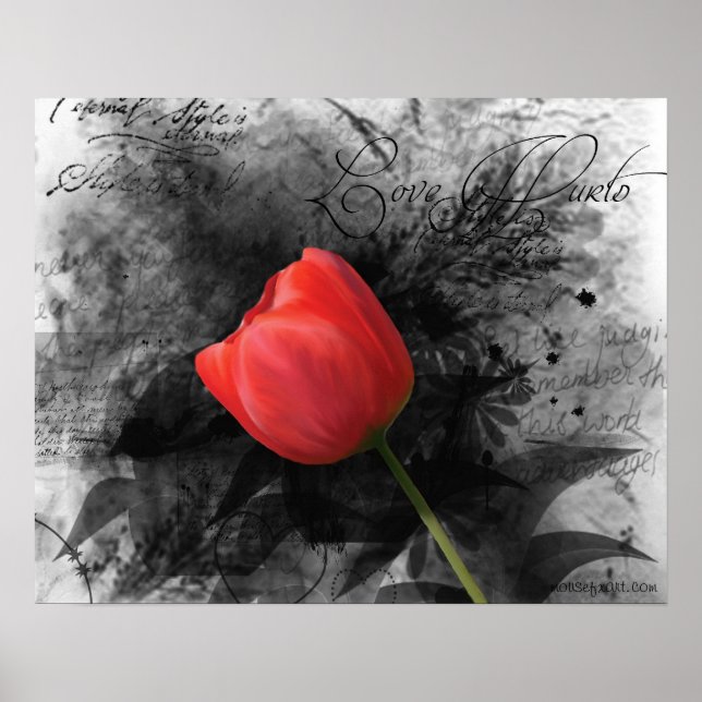 Red Tulip Poster (Framsidan)