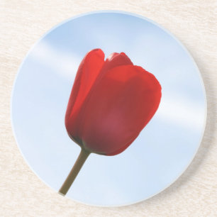 Red Tulip Underlägg Sandsten