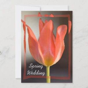 Red Tulip Vår bröllop-meddelande Inbjudningar