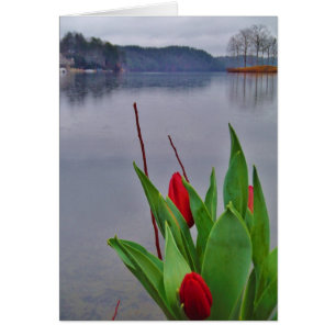 Red Tulips Blue Sjö Arrowhad vatten Hälsningskort
