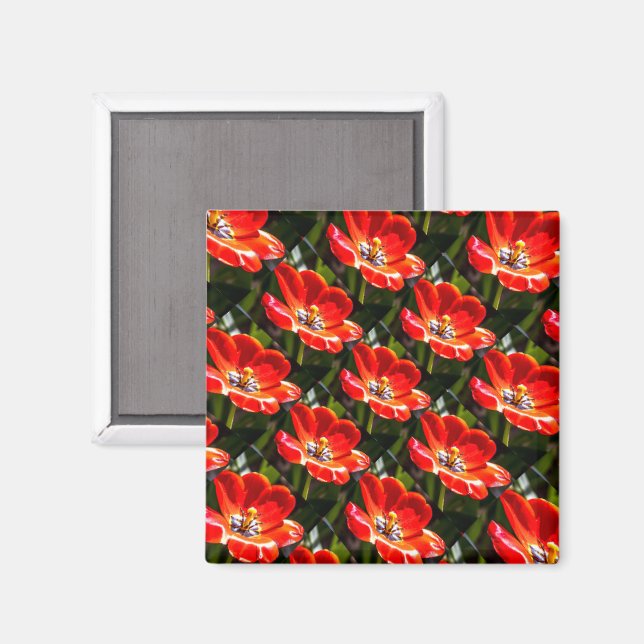 Red Tulips Mönster Magnet (Front/Back)