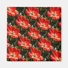 Red Tulips Mönster Magnet