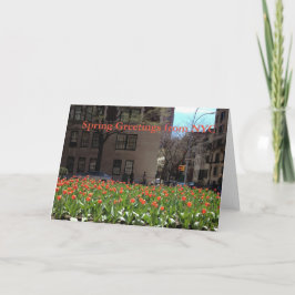 Red Tulips Vår Hälsning från NYC-kort Kort