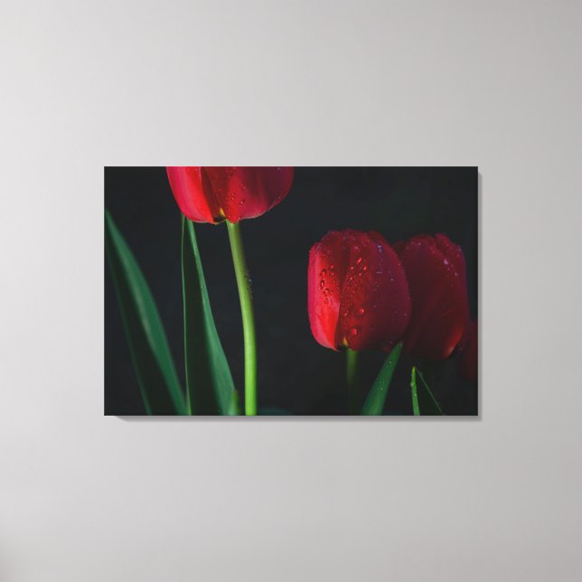 Red Tulips Wrapped Canvas (Framsida)
