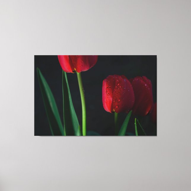 Red Tulips Wrapped Canvas (Framsida)