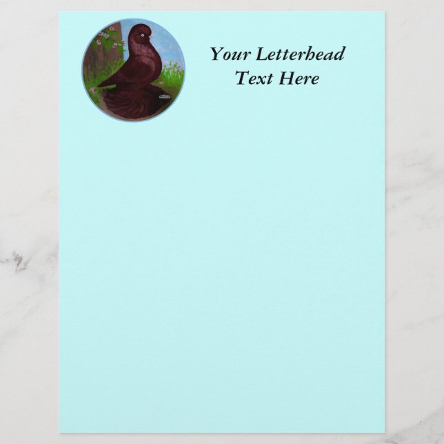 Red Tumbler Pigeon Circle (Framsida)