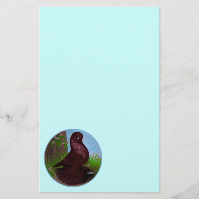 Red Tumbler Pigeon Circle (Framsida)