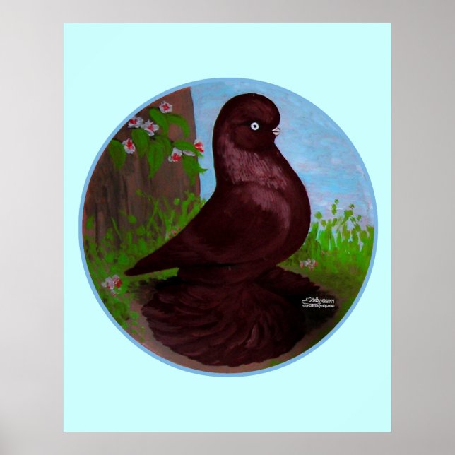 Red Tumbler Pigeon Circle Poster (Framsidan)