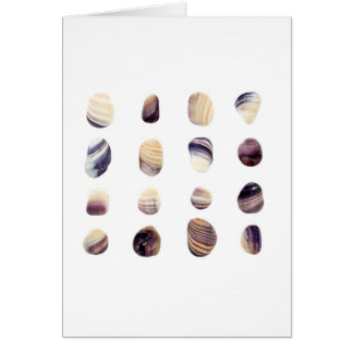 Red ut snäckskal hälsningskort