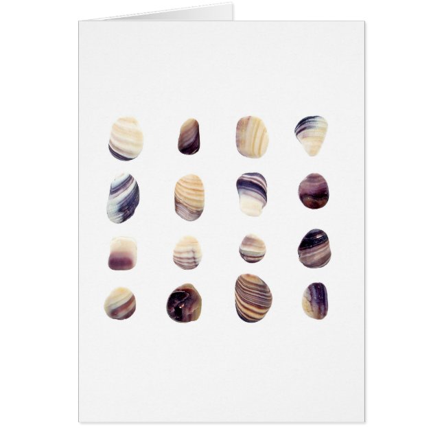 Red ut snäckskal hälsningskort (Framsidan)