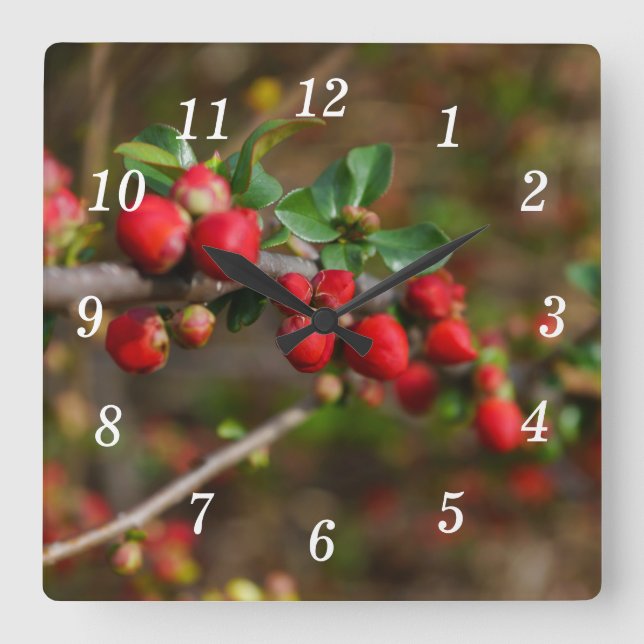 Red Vår Buds Wall Clock Fyrkantig Klocka (Framsida)