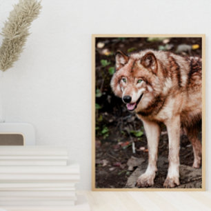 Red Varg Cabin Stil Modern Photo Poster