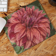 Red Variegated Dahlia Bloom Blommigt