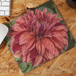 Red Variegated Dahlia Bloom Blommigt Musmatta