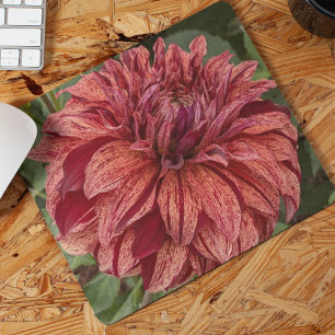 Red Variegated Dahlia Bloom Blommigt Musmatta