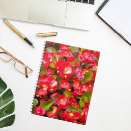 Red Vax Begonias Blommigt Anteckningsbok