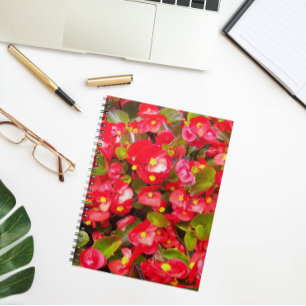 Red Vax Begonias Blommigt Anteckningsbok