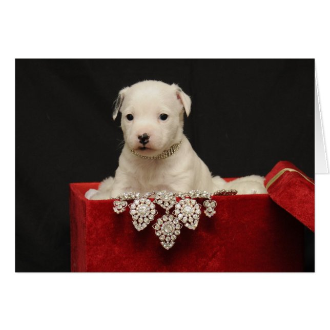 Red Velvet OBS Kort (Framsidan Horizontal)