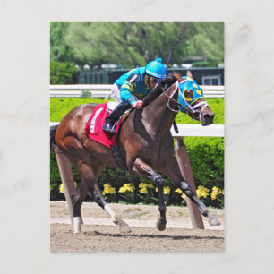 Red Velvet vinner Jersey Girl Stakes Vykort
