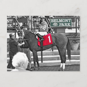 Red Velvet vinner Jersey Girl Stakes Vykort