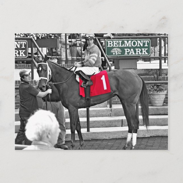 Red Velvet vinner Jersey Girl Stakes Vykort (Framsida)