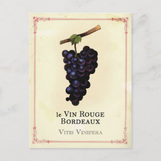 Red Vin Grapes Bordeaux Vykort