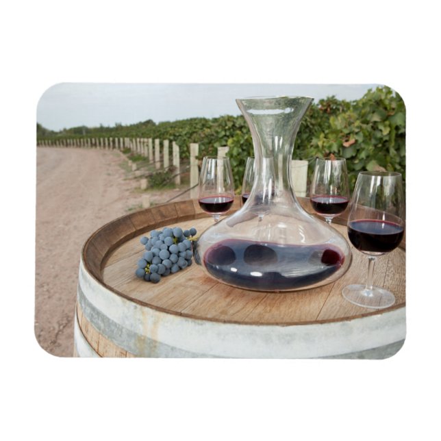 Red Vin i Vineyard Magnet (Horisontell)