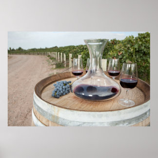 Red Vin i Vineyard Poster