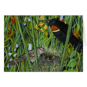 Red Vinge Blackbird Hälsningskort