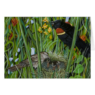 Red Vinge Blackbird Hälsningskort