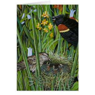 Red Vinge Blackbird Hälsningskort