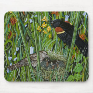 Red Vinge Blackbird Musmatta