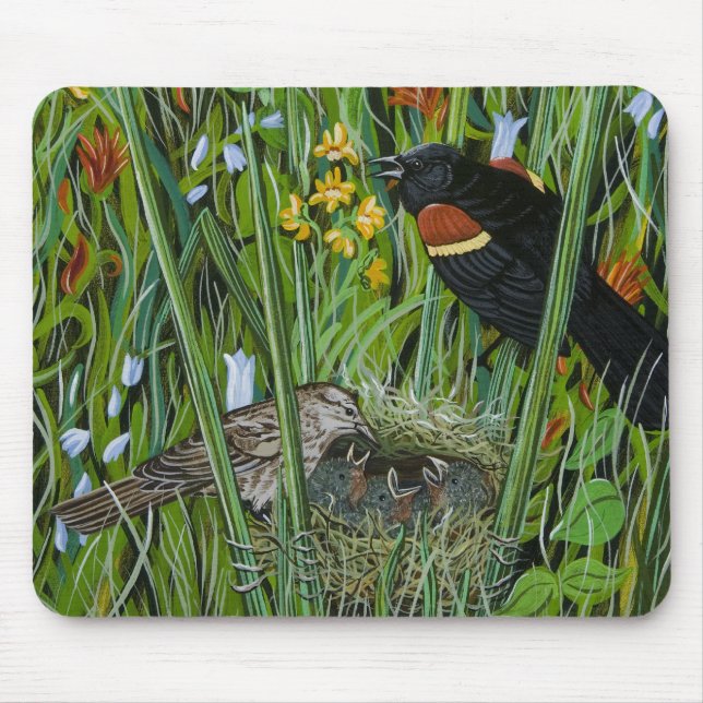 Red Vinge Blackbird Musmatta (Framsidan)