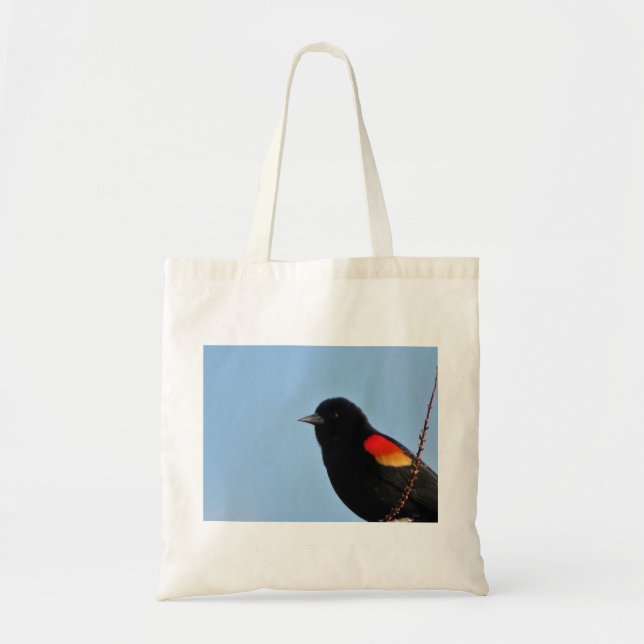 Red Vinge Blackbird Tygkasse (Framsidan)