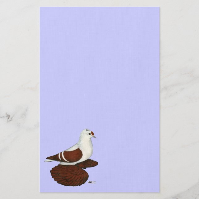 Red Vinge Pigeon Brevpapper (Framsida)