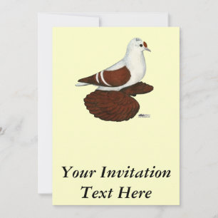 Red Vinge Pigeon Inbjudningar