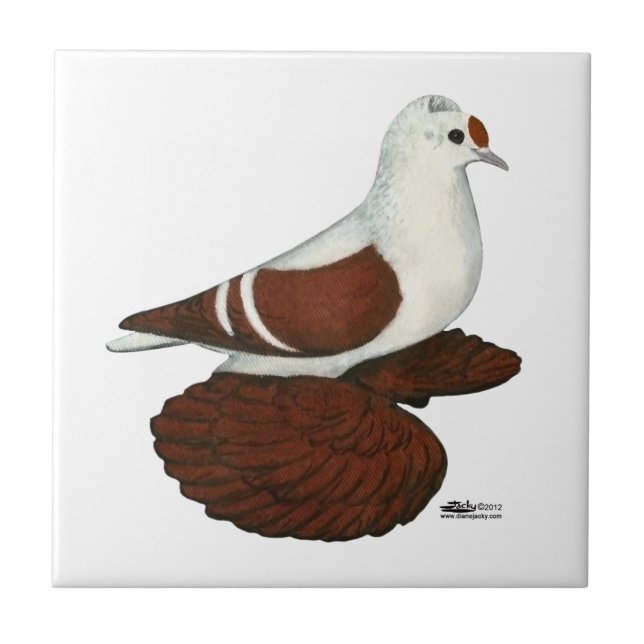 Red Vinge Pigeon Kakelplatta (Framsidan)