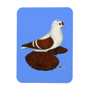 Red Vinge Pigeon Magnet