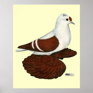 Red Vinge Pigeon Poster