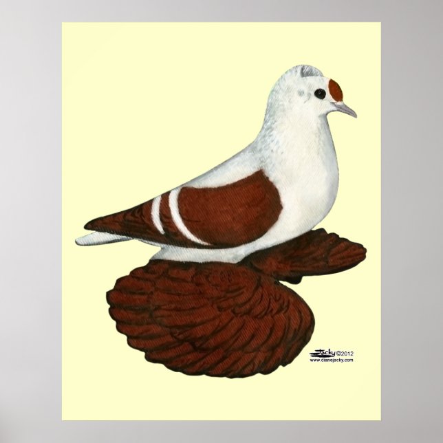 Red Vinge Pigeon Poster (Framsidan)