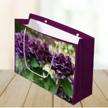 Red Violet Hydrangea Blooms Blommigt