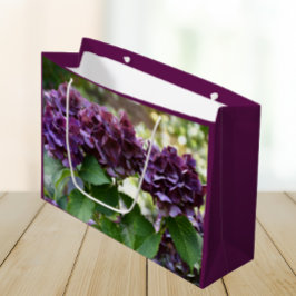 Red Violet Hydrangea Blooms Blommigt