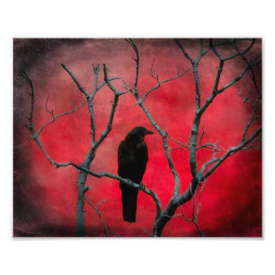 Red Vision Fototryck