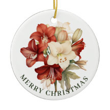 Red & White Amaryllis på White God jul