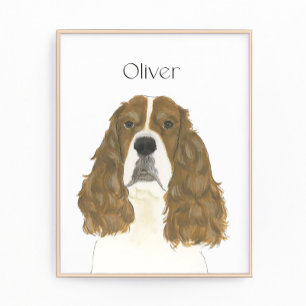 Red & White English Springer Spain Art Fototryck